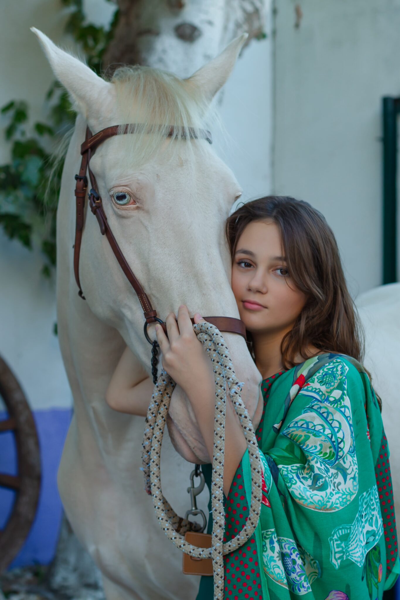 Fajalauza Feast - Image 3